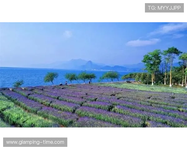 探索PG电子巴厘之旅大全中的隐藏秘境与必访景点指南