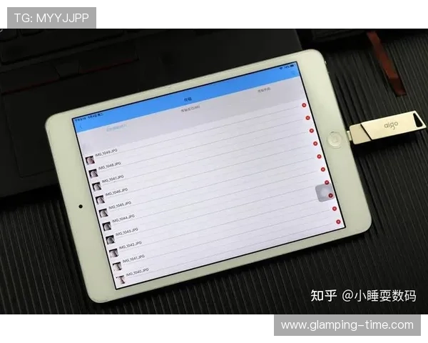 电子pgapp常见操作流程详解让新手玩家也能轻松掌握使用方法